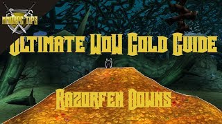 Razorfen Downs Gold Farming  The Ultimate WoW Gold Guide [upl. by Uwton825]