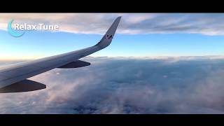 BEST Baby Sleep Sound Airplane Cabin Flight Sound  White Noise  1 Hour  P [upl. by Bodkin179]