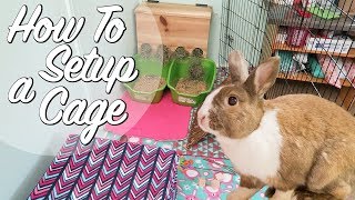 How To Set Up A Rabbit Cage [upl. by Aleil]