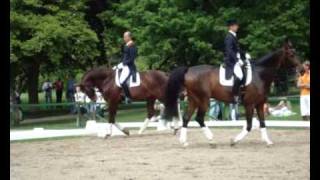 Pfingstturnier Wiesbaden 2010 Hyperflexion Rollkur Dressage [upl. by Klara]