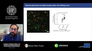 Sohal Vikaas  ExcitatoryInhibitory balance and changes in emergent patterns of circuit [upl. by Collayer]