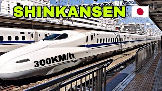 BULLET TRAIN JAPAN‼️BEGINI RASANYA NAIK SHINKANSEN 300KMh JAPANSHIZUOKANAGOYA [upl. by Gittle]