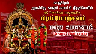 🔴LIVE மகர வாகனம்  பிரம்மோத்ஸவம் 2024  ஸ்ரீ காஞ்சி காமாட்சி அம்மன் தேவஸ்தானம் [upl. by See]