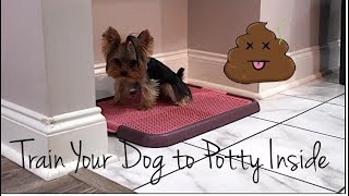 Potty Training Your Dog 101  Indoor Potty Training  Part Two [upl. by Ashwin]