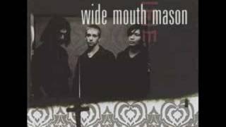 Wide Mouth Mason  Tom Robinson [upl. by Odicalp]