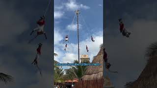 Witness the Breathtaking Papantla Flyers Performance at Costa Maya Port [upl. by Ecienahs]