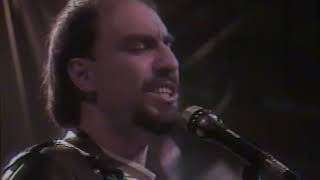 The Smithereens  Only a Memory  A Girl Like You Unplugged  1990 [upl. by Claus]