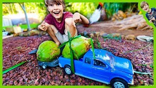 Trucks with Trailer Hauling Coconuts [upl. by Gamali]