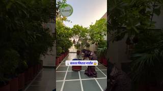 गुरुग्राम का चलता फिरता गार्डन 🚶😱 gardening gardeninglovers garden gardeningideas [upl. by Reginnej]