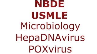 HepaDNAvirus amp POXvirus  NBDE amp USMLE microbiology  DNA Enveloped Viruses [upl. by Howey]