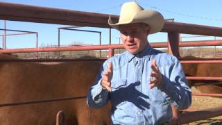 Jason Abraham 2017 Hemphill County Field Day Host [upl. by Caterina]