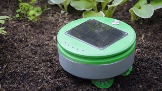 Solar Powered Robot That Weeds Gardens  The Henry Fords Innovation Nation [upl. by Barthol]