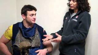 Dr Laurie Hess with a wallaby discussing responsible pet ownership [upl. by Arleyne]