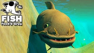 Feed and Grow Fish GameplayPTBR  Ataque De Peixe Gato quotCatFishquot 4 [upl. by Poore908]