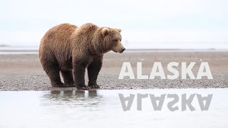 The best of Alaska in 2 weeks [upl. by Meris651]