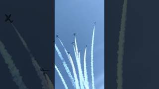 Snowbirds perform at the CIAS 2024 [upl. by Tildie]