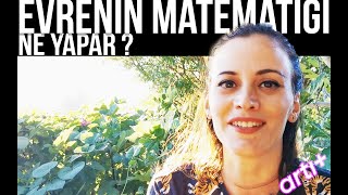 EVRENİN MATEMATİĞİ  NE YAPAR [upl. by Home]