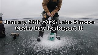 Jan 28th 2024  LAKE SIMCOE Cooks Bay Ice Report [upl. by Dollar]