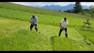 Stihl FS 38 with DuroCut 52 versus Stihl FS 38 with Regular Trimmer Line  Love Scything 21 [upl. by Locke]