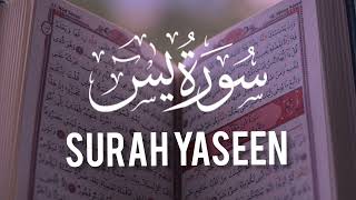 Surah Yaseen  Yaseen  Quran Ki tilawat  world most tilawat ringtone  quran beautiful ❤️😍 [upl. by Aivila]