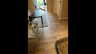 Installation of 210 sq ft of Mannington Adura Rigid [upl. by Fine942]