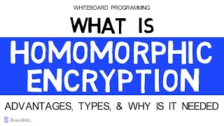 What is Homomorphic Encryption Explained  Paillier Cryptosystem  PHE  SHE  FHE [upl. by Hpeseoj890]