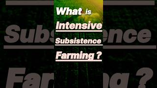 Intensive subsistence farming  features of intensive subsistence farming  agriculture  geography [upl. by Katzman]