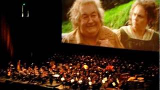 Symphony No 1 Lord of the Rings by Johan de Meij [upl. by Andreas583]