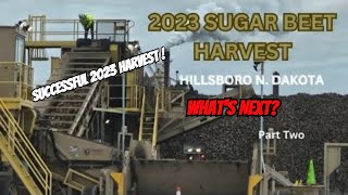 Sugar Beets  Successful 2023 Harvest  Whats Next [upl. by Saihtam]