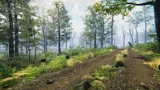 Forest Environment  Dynamic Nature  LevelArt  Unity 2019 [upl. by Airdnoed]