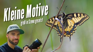 Makrofotografie Kleine Motive groß in Szene gesetzt [upl. by Yunick]