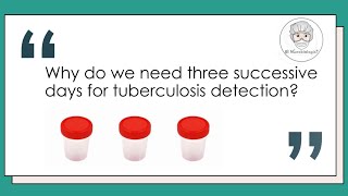 Sputum culture  Why 3 samples needed for TB Detection Mycobacterium tuberculosis Microbiology [upl. by Asiralc944]