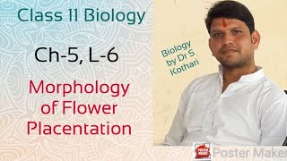 Placentation  Morphology of Flowering Plants  Ch5 L6  Class 11 Biology [upl. by Griffith]