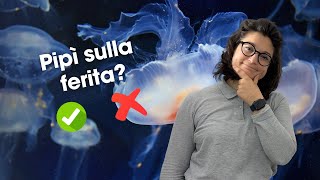 Cosa fare e NON fare in caso di PUNTURA DI MEDUSA [upl. by Jovi799]