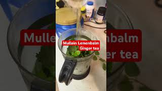 Making fresh mullein tea florgenargue shortvideos gardening florgardengoddess trending viral [upl. by Norvol783]