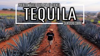 TEQUILA  PUEBLO MÁGICO de Jalisco RECORRIDO POR TU CUENTA desde Guadalajara Tour Casa Sauza 🇲🇽🥃 [upl. by Iliak]