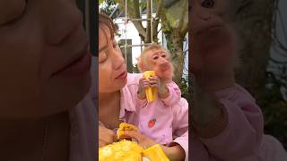 Got an orphaned baby monkey now Im fostering 🐒🥰 shots facts viral trendingshorts [upl. by Vories]