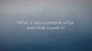 Vesicoureteral Reflux VUR  FAQ with Dr Heather Di Carlo [upl. by Cerys637]