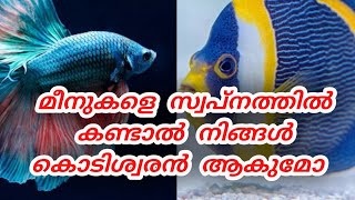 മീനുകളെ സ്വപ്നം കണ്ടാൽ കൊടിശ്വരൻ ആകുമോ  meaning of dream fish [upl. by Raoul793]