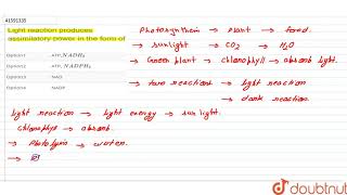 Light reaction produces assimilatory power in the form of [upl. by Blynn]