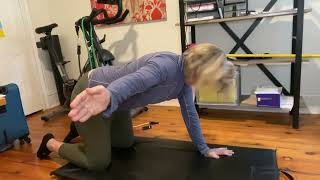 Neck exercise 2 Quadruped alternate arm raise w abduction and 120 degrees flexion [upl. by Callista]