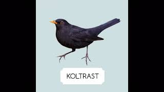 Koltrast läte [upl. by Ailssa349]