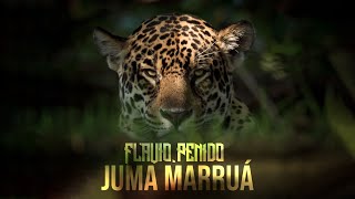 Juma Marruá Novela Pantanal [upl. by Lewert]