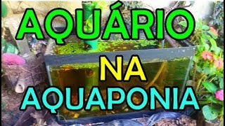 Aquário na aquaponia [upl. by Nauqed]