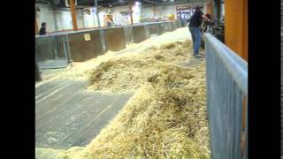 Overnight at the 2015 Pa State Farm Show change from pigs to goats [upl. by Woodie]