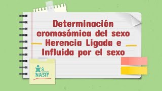 72 DETERMINACIÓN CROMOSÓMICA HERENCIA LIGADA E INFLUIDA POR EL SEXO GRUPO  2022 [upl. by Anipsed152]