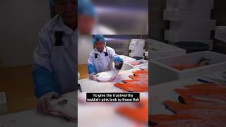 Why Does FarmRaised Salmon Look So White Shocking Truth salmon foodfacts [upl. by Aned451]