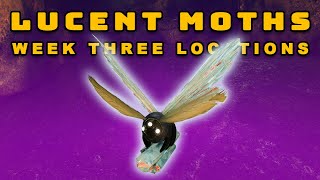 Destiny 2 Witch Queen  All Lucent Moth Locations Week Three  Lepidopterist Triumph Guide [upl. by Eiclehc]