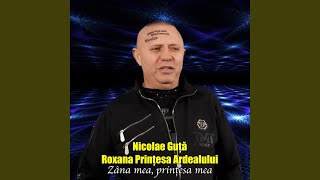 Zana mea printesa mea feat Roxana Printesa Ardealului [upl. by Ariad953]