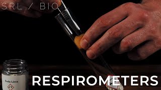 SRL  Bio Respirometers A level  IB biology [upl. by Ahsiret]